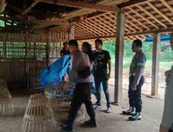 Polisi Bongkar 3 Arena Judi Sabung Ayam dan Dadu di Ponorogo.